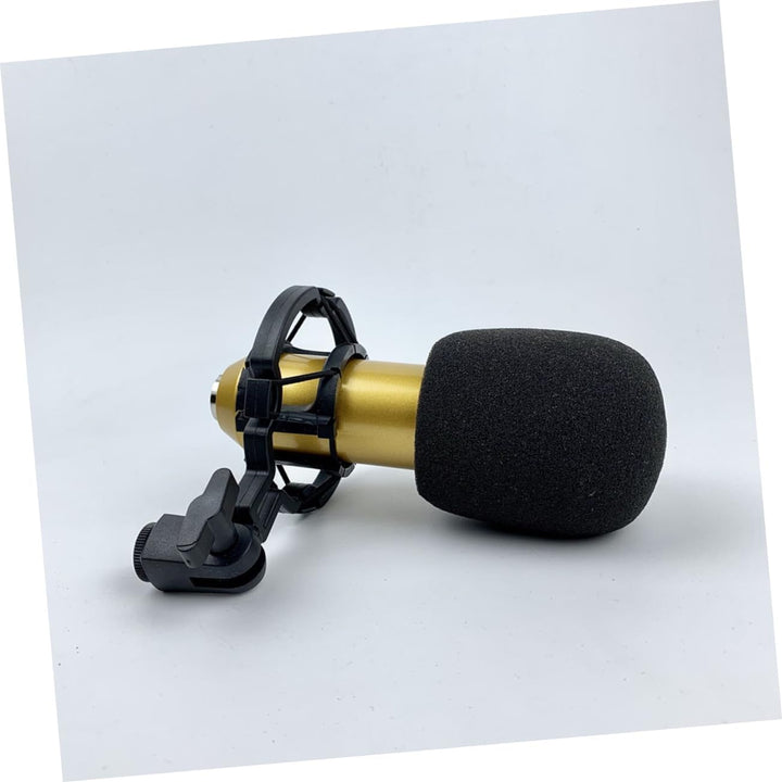 ibasenice Gold Bm-800 mit Doppellagigem Netzdesign, Kondensatormikrofon