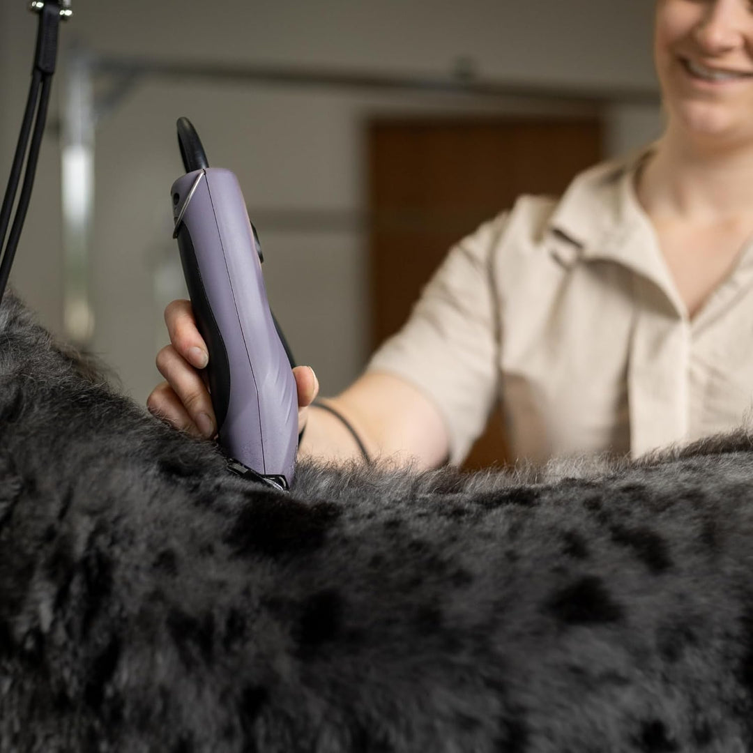 Agrarzone Edition Wahl KM10+ Hundeschermaschine mit Aufsteckkamm-Set - Profi Schermaschine Hund &amp; Ka