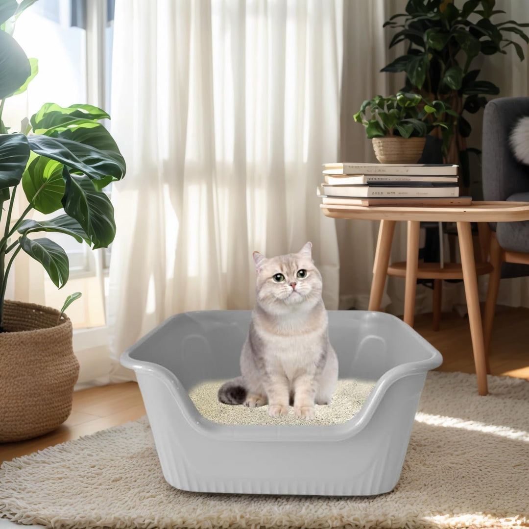 Katzenklo Gross 64x45x33cm, Katzenklo Hoher Rand Ohne Deckel, Katzentoiletten Offen, Spritzwasserges