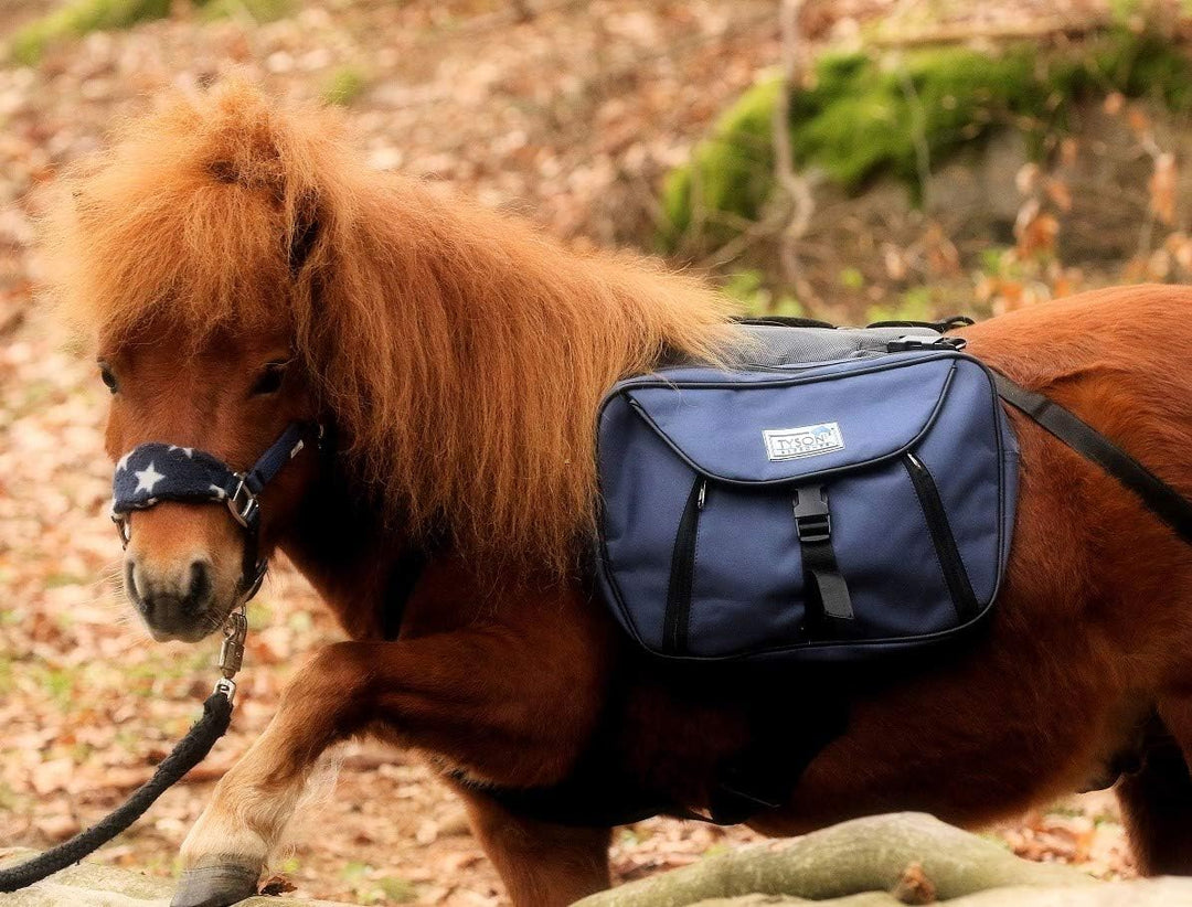 Tysons Breeches Rucksack Blau Trekking Satteltasche Wanderrucksack Packtaschen Minishetty Mini Shett
