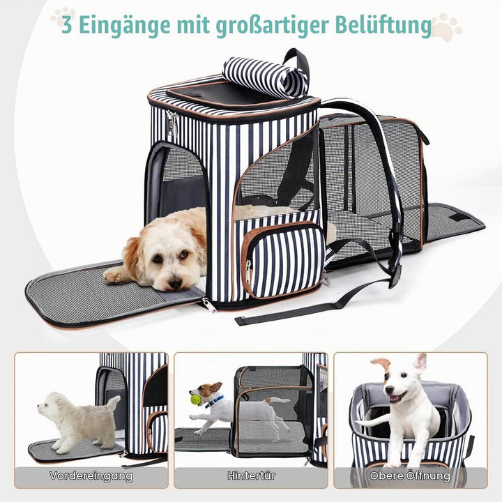 Lekesky Erweiterbar Katzenrucksack Hunderucksack für Katzen und Hunde bis 10 Kg, Faltbare Haustier R
