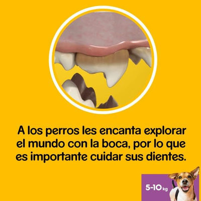 Pedigree Dentastix Snack für die Oralhygiene für kleine Hunde, 4 Packungen à 28 Stück 28 Stück (1er