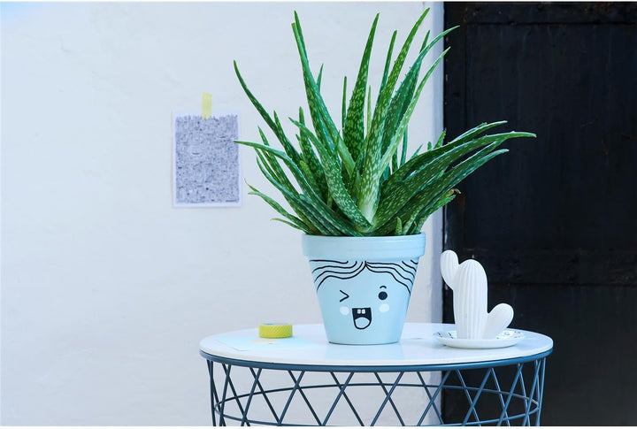 edding 750 Glanzlackmarker - rot - 10 Lackmarker - Rundspitze 2-4 mm - Lackstift für Glas, Stein, Ho