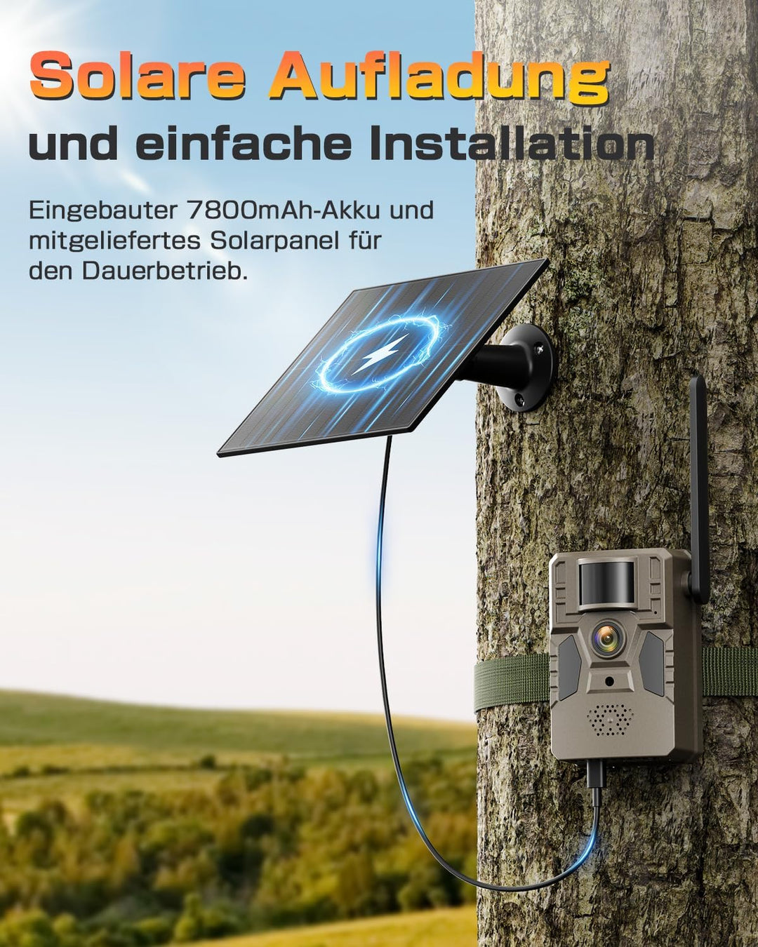 4G LTE Wildkamera mit Handyübertragung APP, Solar Überwachungskamera Aussen mit SIM Karte, 2K Wildti