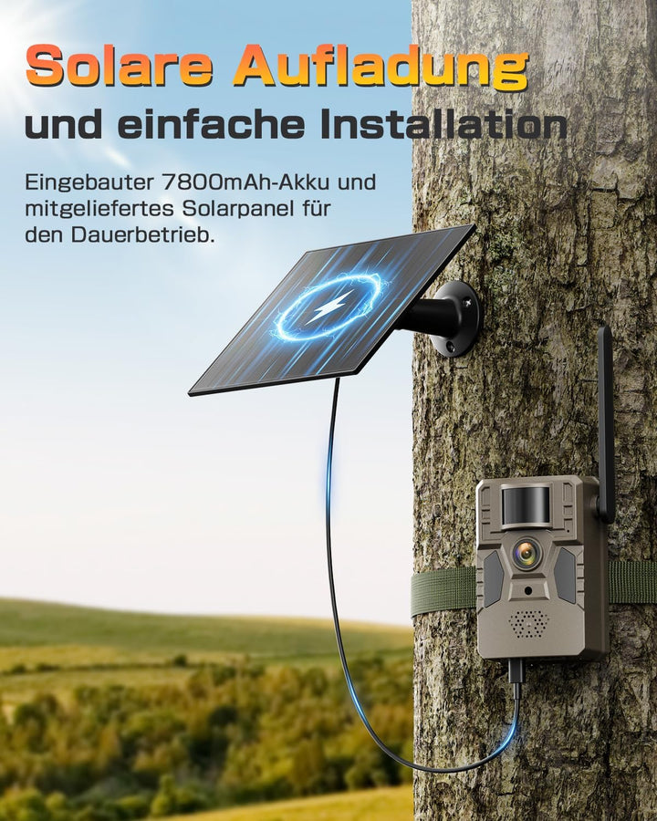 4G LTE Wildkamera mit Handyübertragung APP, Solar Überwachungskamera Aussen mit SIM Karte, 2K Wildti