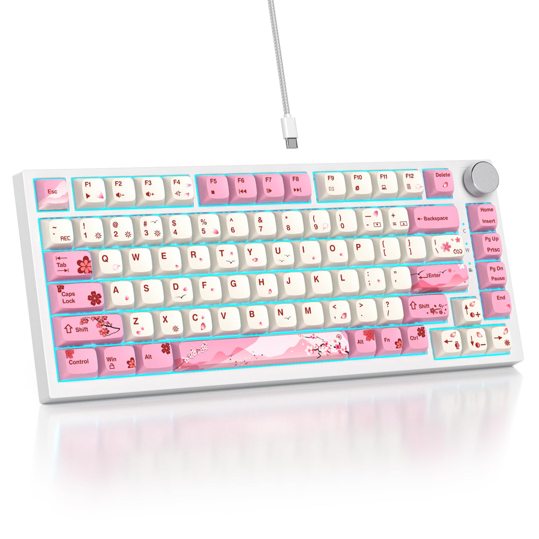 SOLIDEE Verkabelte 75% Mechanische Gaming-Tastatur,hot-swap-fähige Mechanische Tastatur mit Gasket S