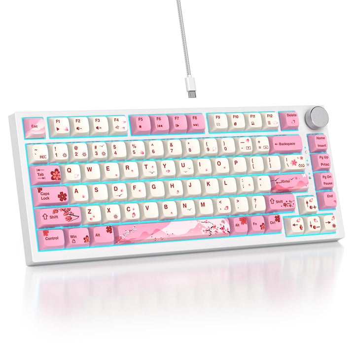 SOLIDEE Verkabelte 75% Mechanische Gaming-Tastatur,hot-swap-fähige Mechanische Tastatur mit Gasket S