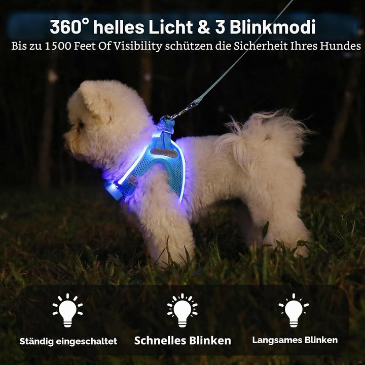Leuchtend Hundegeschirr LED Aufladbar - Leuchtgeschirr Leuchtendes &amp; Reflektierendes für Welpe Klein