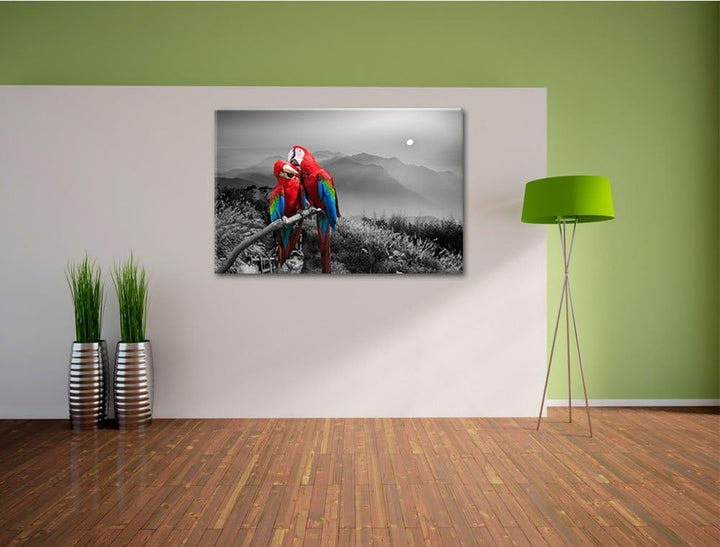 süsse Papageien auf Ast schwarz/weiss Format: 100x70 auf Leinwand, XXL riesige Bilder fertig gerahmt