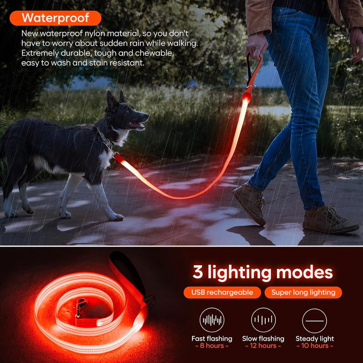 ChalkLit LED Hundeleine, Beleuchtete Hundeleine über USB Wiederaufladbar, 1,2 m, Weich Wasserdicht R