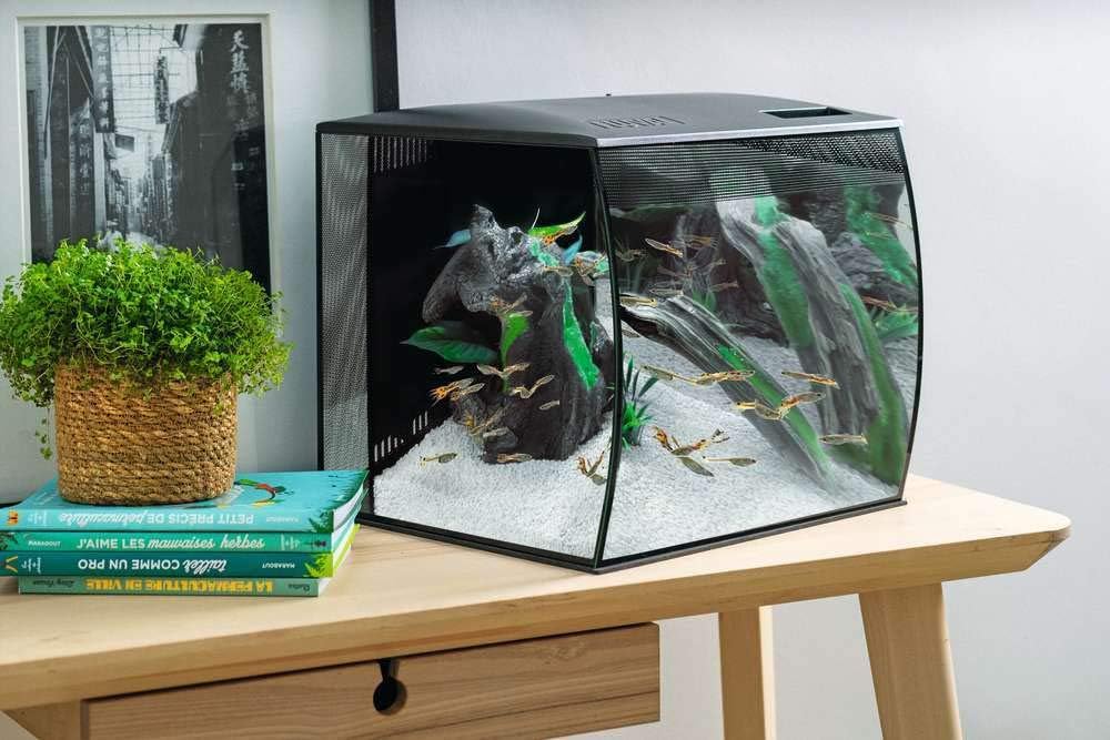 FLUVAL Aquarium Flex LED ohne Unterschrank für Aquarien schwarz 57 l schwarz 1 Stück (1er