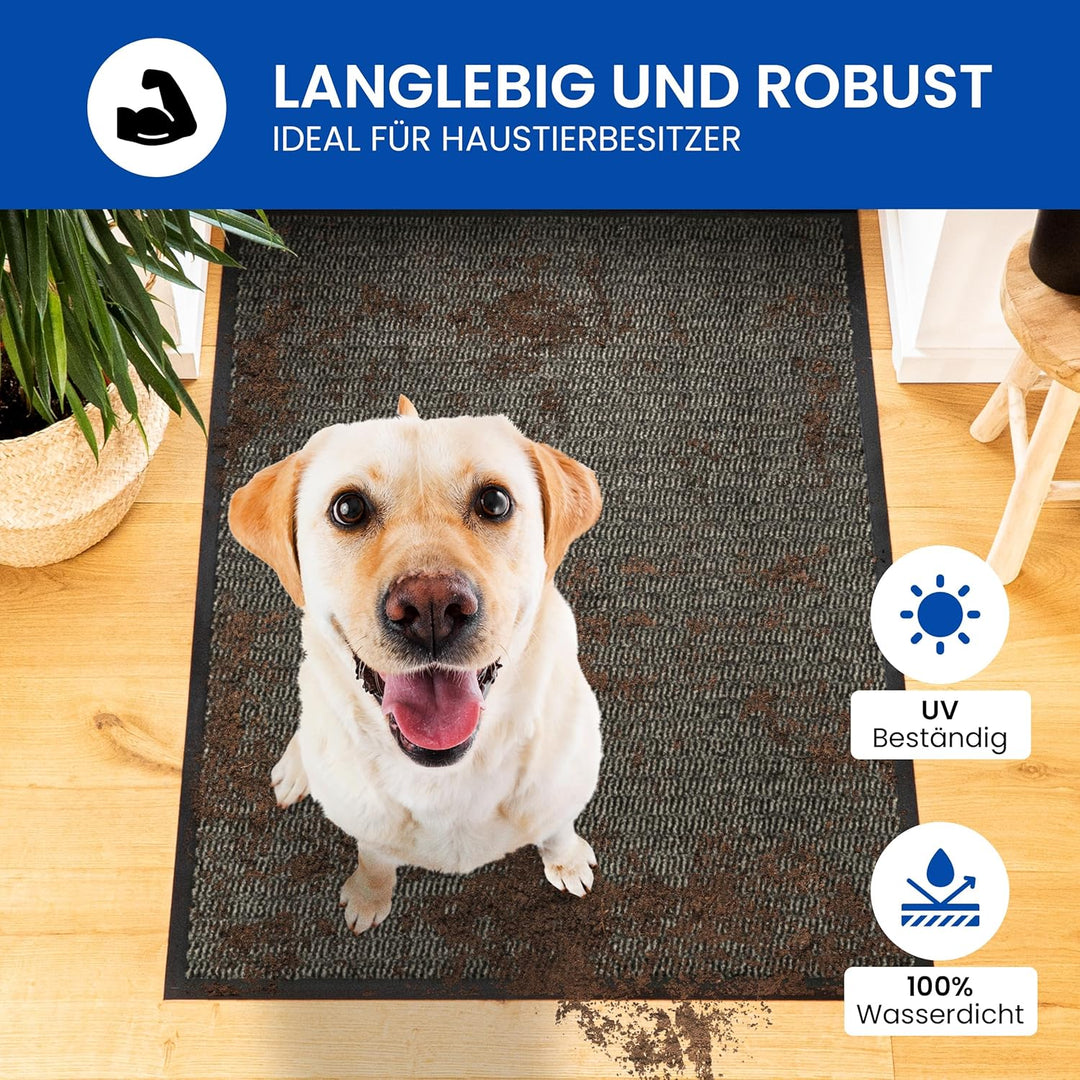 Gentle North Hochwertige Fussmatte beige 90x150cm gross für Innen & Aussen - Schmutzfangmatte rutsch