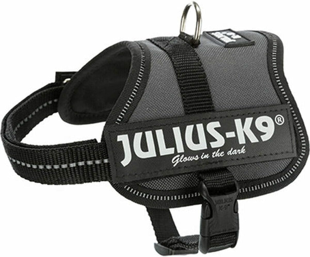 K9 Powergeschirr, Grösse: XS/Mini-Mini, Anthrazit XS/Mini-Mini Anthrazit, XS/Mini-Mini Anthrazit