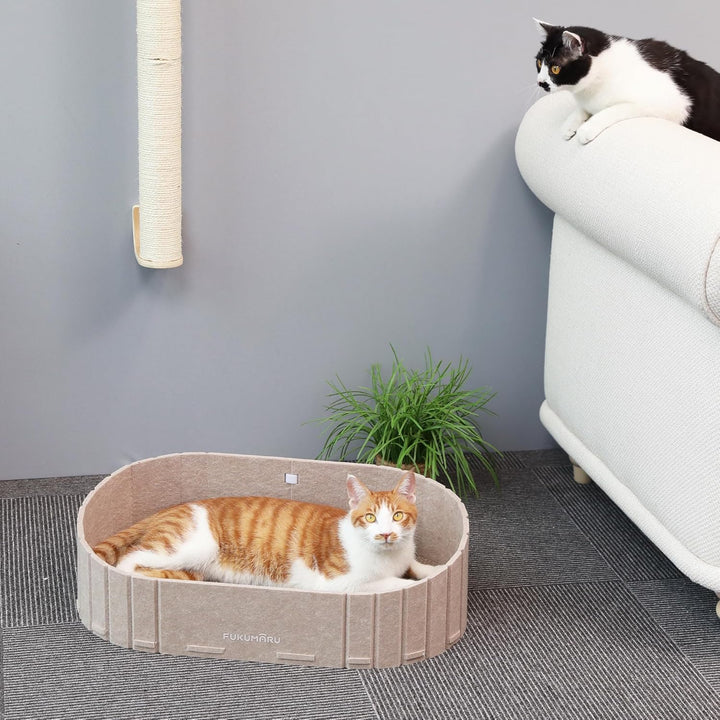 FUKUMARU Kratzbrett für Katzen, 61 cm Kratzpappe in Sofa-Form, Umkehrbares Katzenbett, Runde Kratzpa