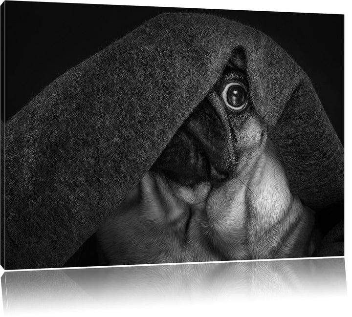 Pixxprint Mops Decke / 100x70cm Leinwandbild bespannt auf Holzrahmen/Wandbild Kunstdruck Dekoration,