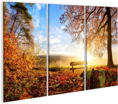 Bild Bilder auf Leinwand Herbstlandschaft mit der Sonne, die warm eine Bank unter einem Baum, vielen