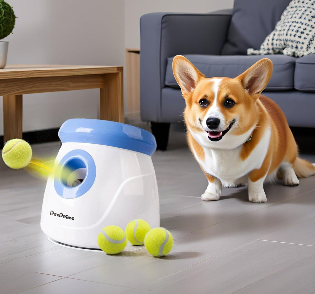 Pet Prime Automatischer Ballwerfer, Hunde Ball Interaktive Ballwurfmaschine, 3 Tennisbälle Inkl, Int