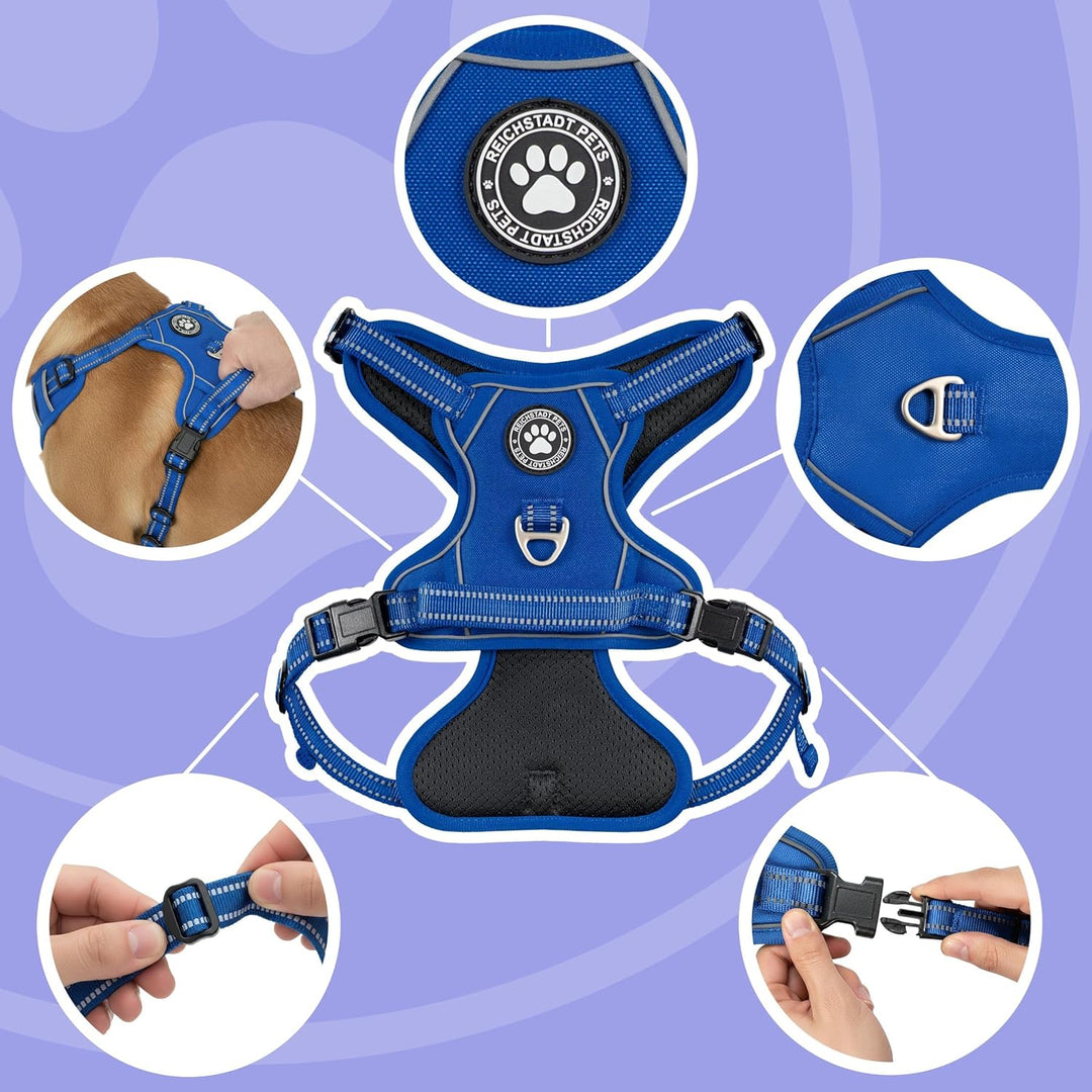 Reichstadt Pets Hundegeschirr Kleine Hunde 25RSP083 Blue S | Verstellbares No-Pull Geschirr mit Grif