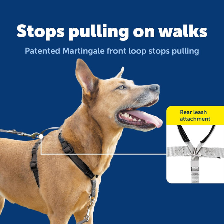 PetSafe 3-in-1-Geschirr mit Zweipunkt-Kontrollleine – kein Ziehen – Grösse L – Schwarz – verstellbar
