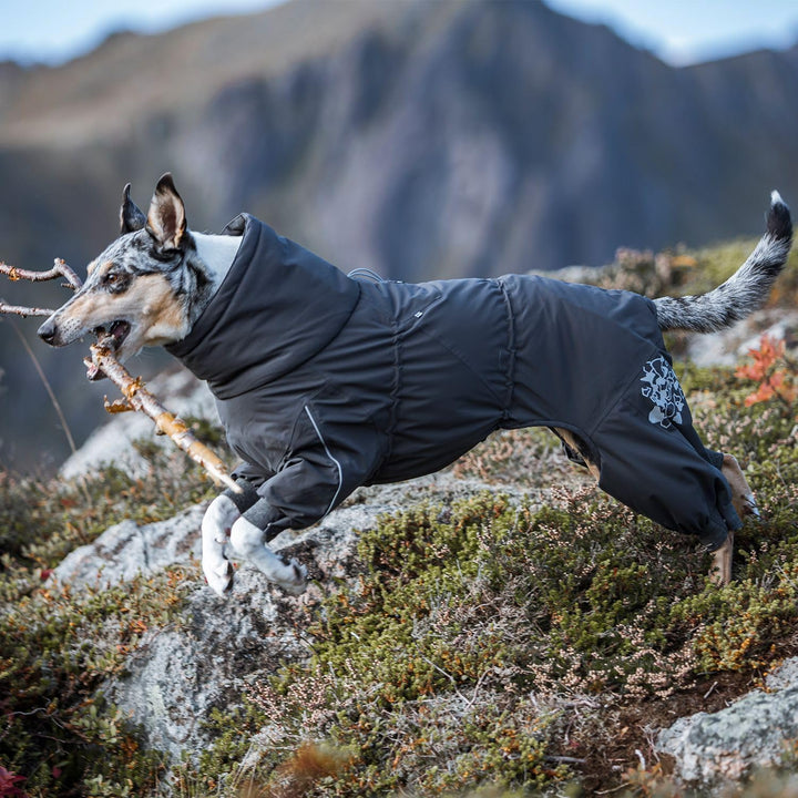 Extreme Overall Winterjacke für Hund (BlackBerry, 65M)