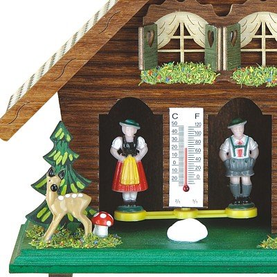 Trenkle Wetterhaus TU 818