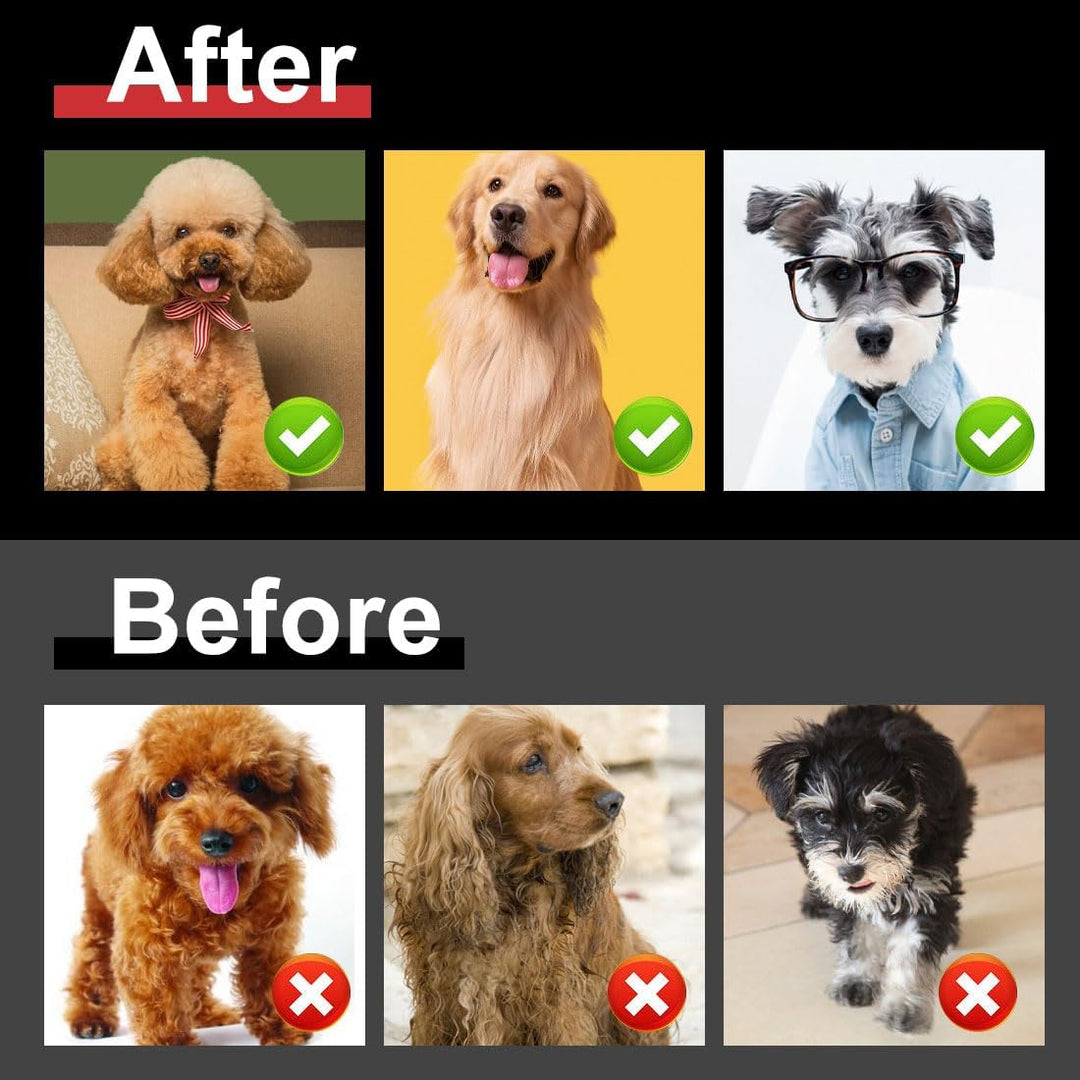 Hatteker Hundeschermaschine Profi Elektrische Tierhaarschneidemaschine mit 7500RPM Schermaschine Hun