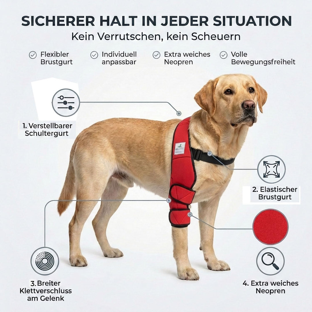 Nature Pet Ellenbogenbandage Hund/Ellenbogenschoner mit Netzeinsatz für Kühl- oder Wärmepads – ideal