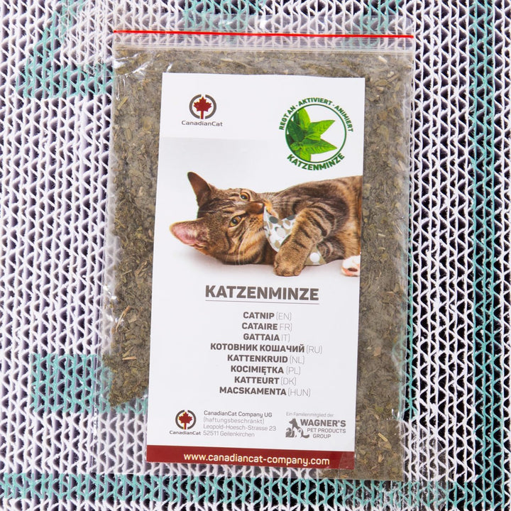 CanadianCat Company | Kratzbrett/Kratzpappe für Katzen - Satellite 2.0 Kratzbrett - Love - Türkis