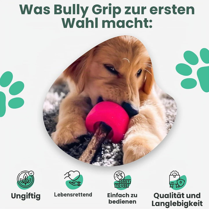 Bully Stick Halter - Grösse Klein Interaktives Hundespielzeug, Slow Feeder, Leckerli-Spender, Kauspi