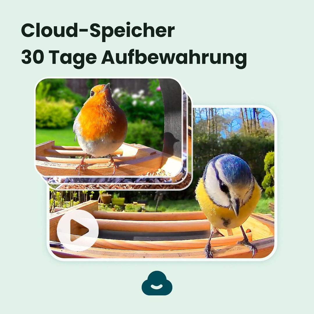 NETVUE by Birdfy Vogelfutterhaus mit Kamera zur Live-Beobachtung Nachtsicht, Solarbetrieb Bambus WLA