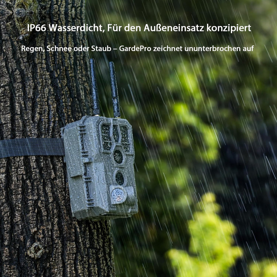 GardePro E8 2.0 Wildkamera Dual Antenne WLAN mit 64GB SD Karte, 64MP H.264 4K Video, 30m Infrarot Na