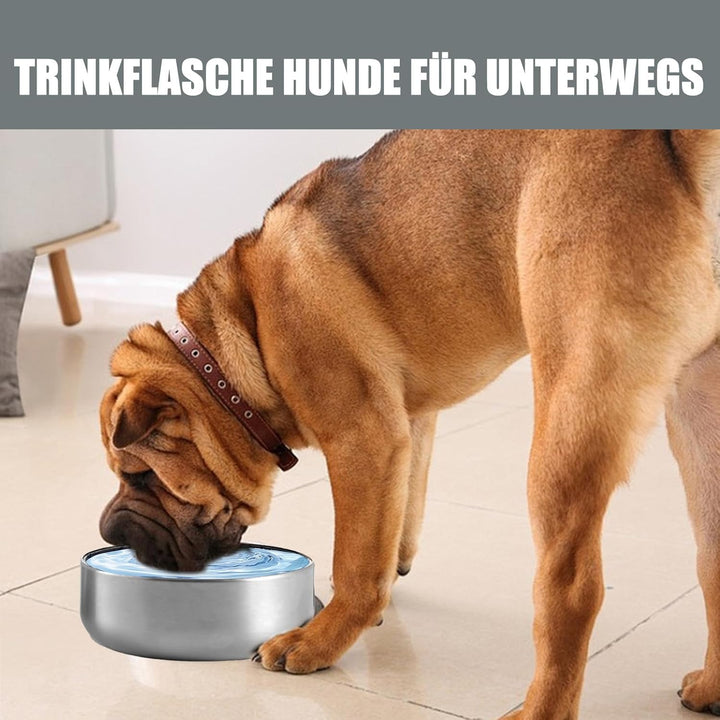 Trinkflasche Hunde für Unterwegs 950ml – Isolierte Edelstahl Hundetrinkflasche Wasserflasche mit Fut