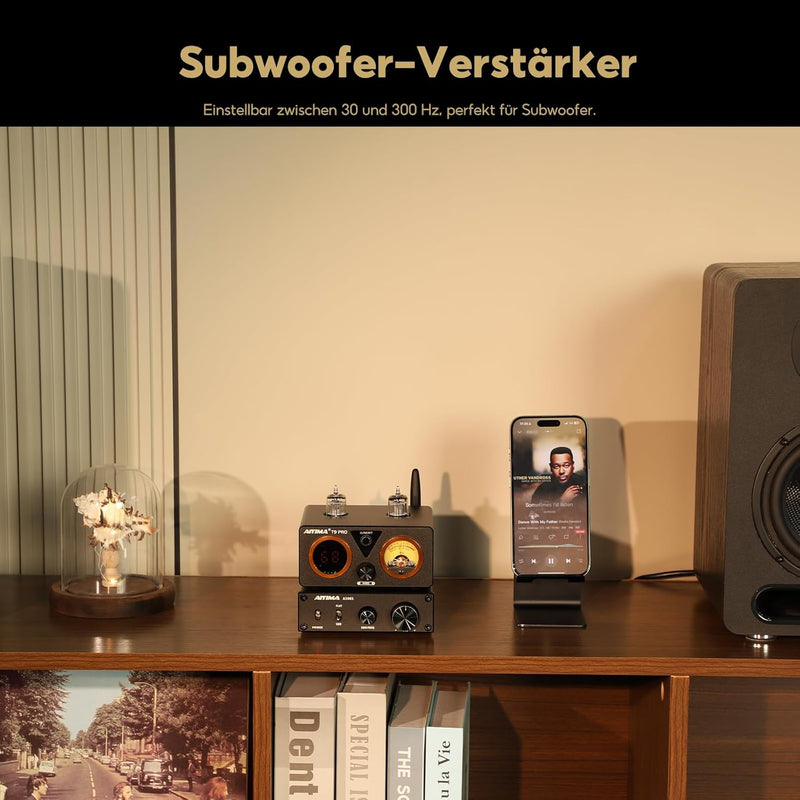 AIYIMA A3001 200W Subwoofer-Verstärker HiFi-Mono-Leistungsverstärker Klasse D-Verstärker mit Vollfre