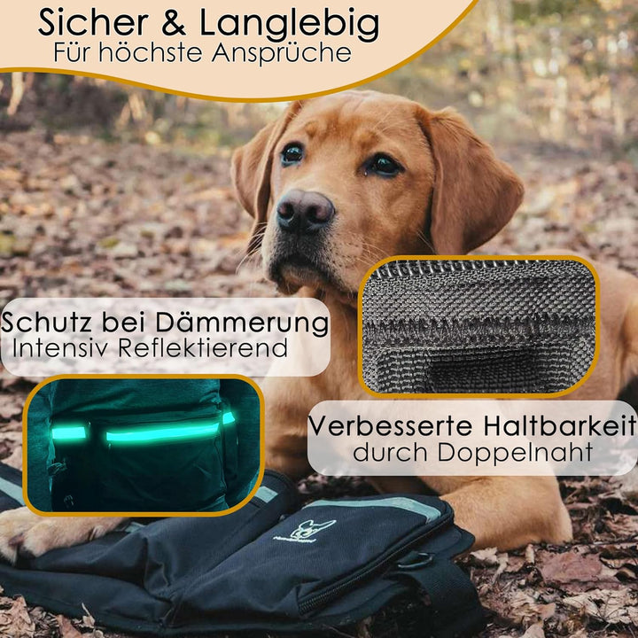 Hundefreund Leckerlitasche für Hunde XXL - Extra grosser reflektierender Leckerlibeutel mit Bauchgur