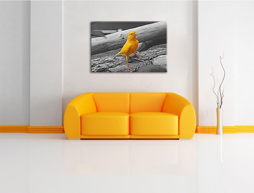 kleiner wachsamer Kanarienvogel schwarz/weiss Deluxe Format: 100x70 cm auf Leinwand, XXL riesige Bil