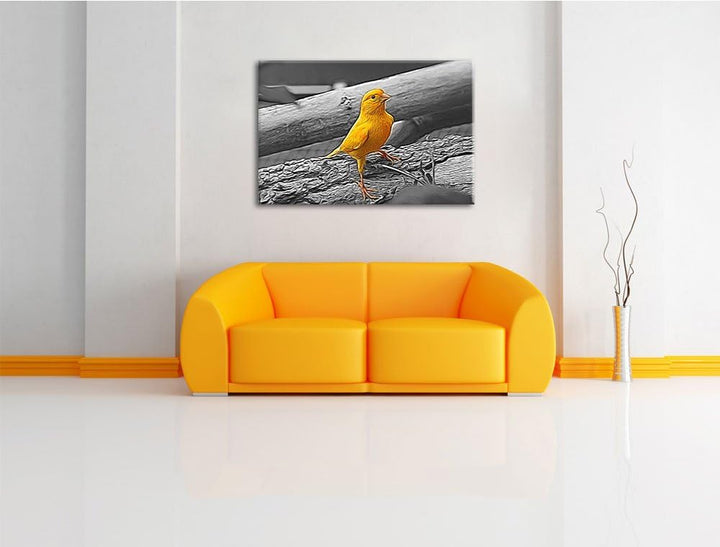 kleiner wachsamer Kanarienvogel schwarz/weiss Deluxe Format: 100x70 cm auf Leinwand, XXL riesige Bil