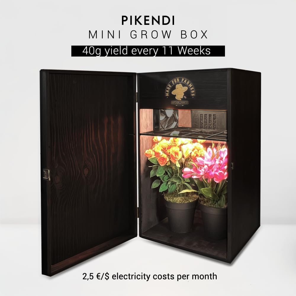 Bonsanto Pikendi Premium Schwarz Mini Grow Box, Komplett Set mit leisem Aktivkohlefilter & 35W LED,