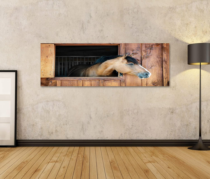 islandburner Bild auf Leinwand Braunes Pferd Schaut Neugierig Aus Fenster Kinderzimmer Bilder Wandbi