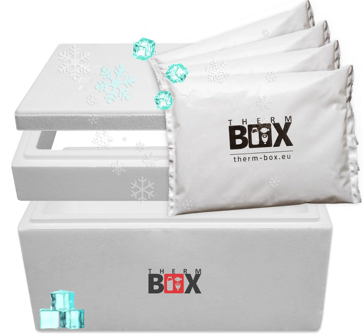THERM BOX Modularbox 43M mit 4X Kühlakku für Kühlbox 43L Innen: 49x30x28cm Transportbox Thermobehält