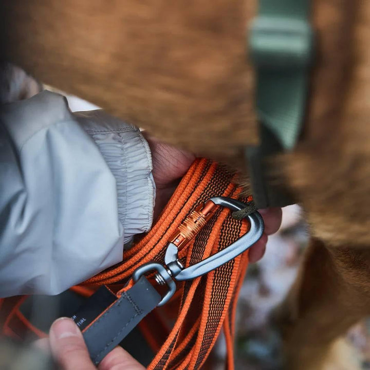 Non-stop dogwear Friction Long line | Schleppleine mit Gummieinsätzen | Länge:15m 15 m / 49,2 Fuss,
