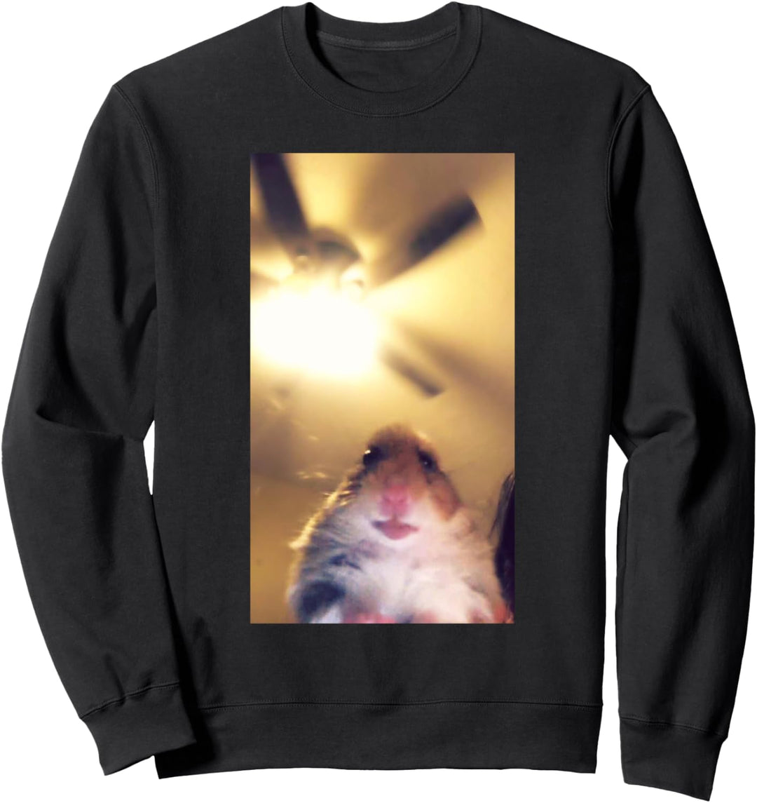 Meme Hamster Staring Front Camera Sweatshirt