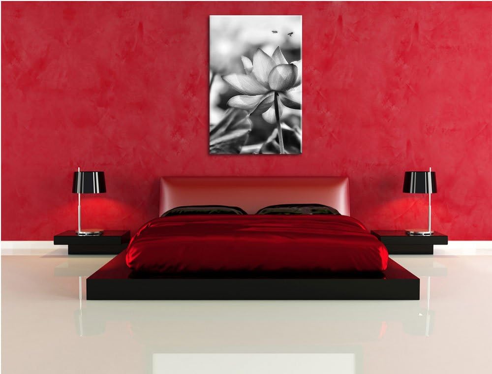 Pixxprint Lotus im Abendlicht / 100x70cm Leinwandbild bespannt auf Holzrahmen/Wandbild Kunstdruck De