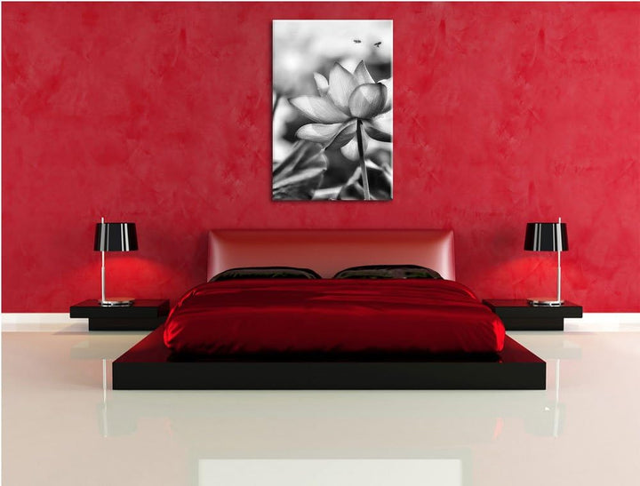 Pixxprint Lotus im Abendlicht / 100x70cm Leinwandbild bespannt auf Holzrahmen/Wandbild Kunstdruck De