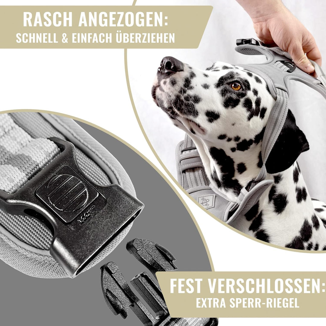 ne&no® Hundegeschirr mit passenden Ruckdämpfer [Developed by NE&NO] Hunde Geschirrset | Brustgeschir