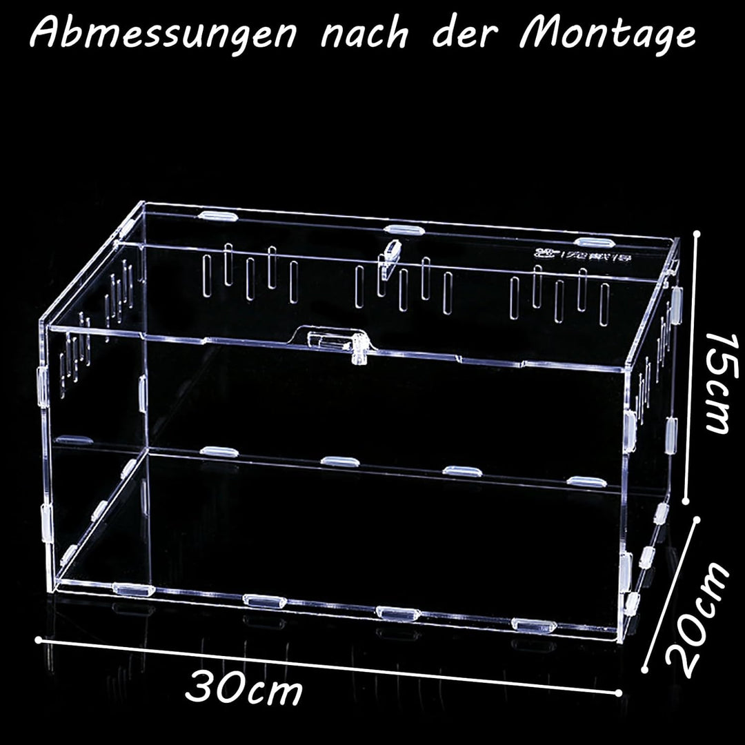 Reptile Fütterungsbox,Acryl Transparent Transport Box,Geeignet für Eidechsen, Spinnen, Hornfrösche u