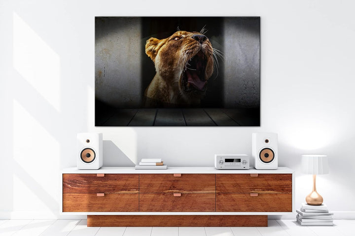 deyoli brüllende Löwin Format: 80x60 als Leinwand, Motiv fertig gerahmt auf Echtholzrahmen, Hochwert