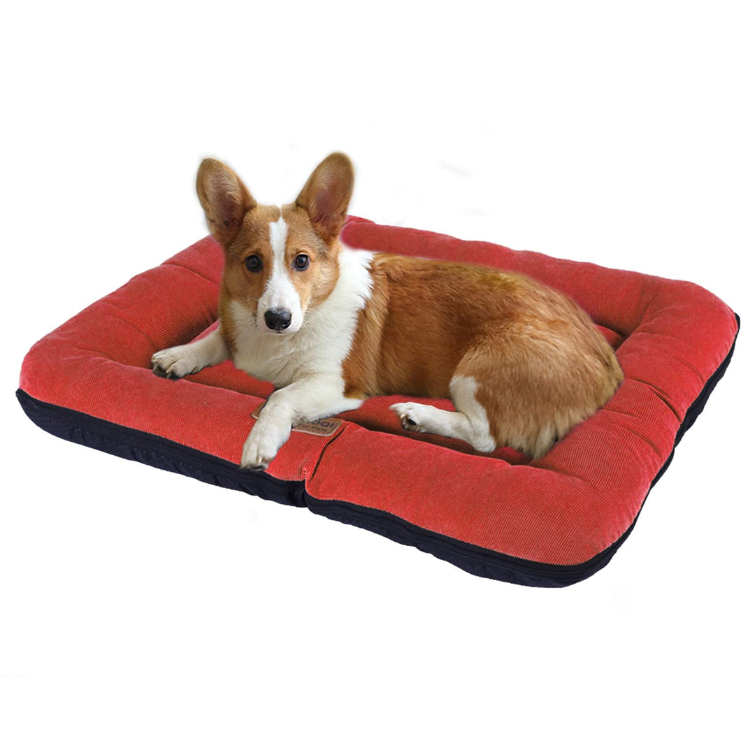 PETCUTE Hundebett Mittelgrosse Hunde,Waschbar Hundekissen mit Abnehmbar Bezug,Super Weiches Hundesof