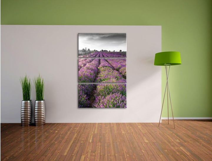 Pixxprint Lavendelfelder in der Provence als Leinwandbild/Grösse: 3 Teilig (120x80) cm/Wandbild/Kuns