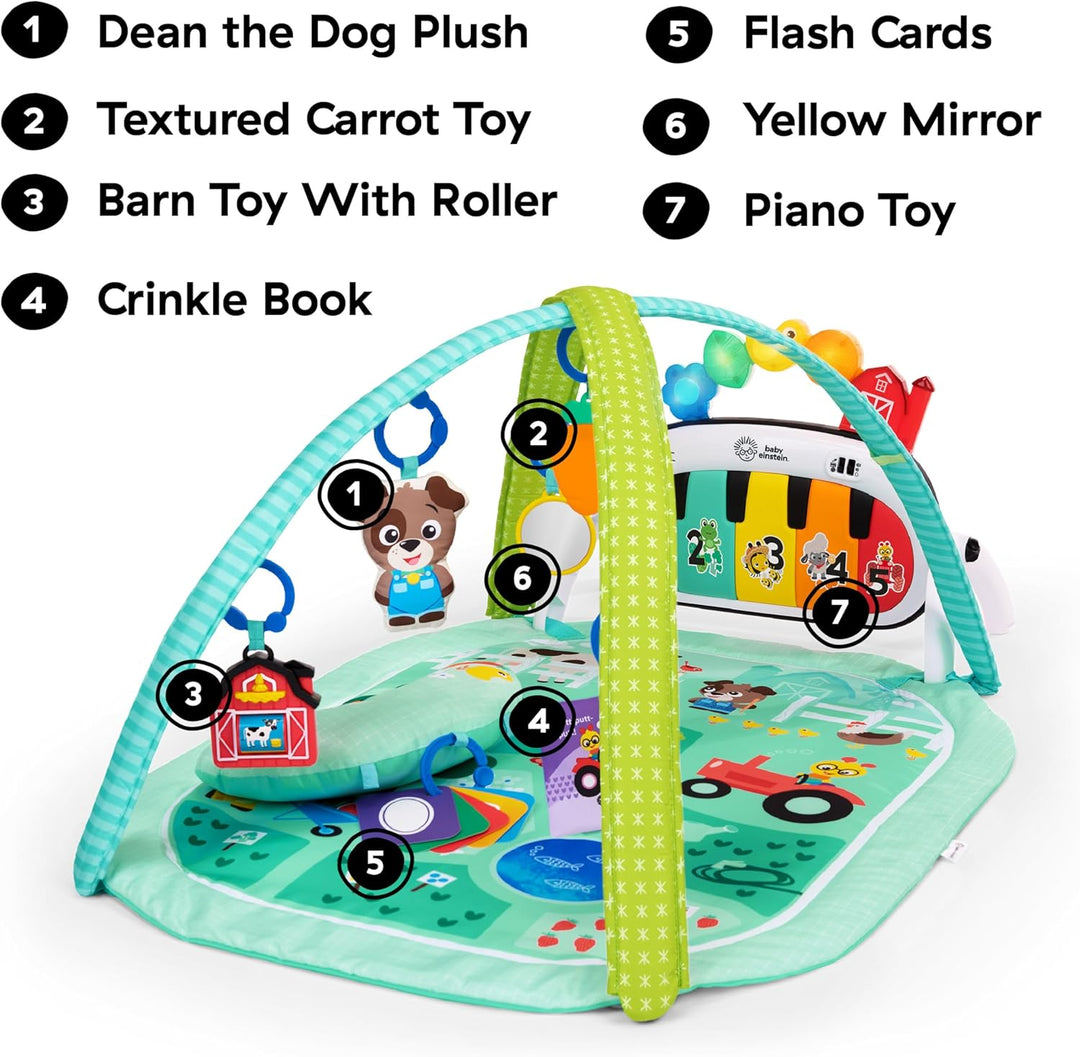Baby Einstein Farm Explorers 4-in-1 Kickin' Tunes Musical Meadow Musik- & Sprachentdeckungs-Spielbog