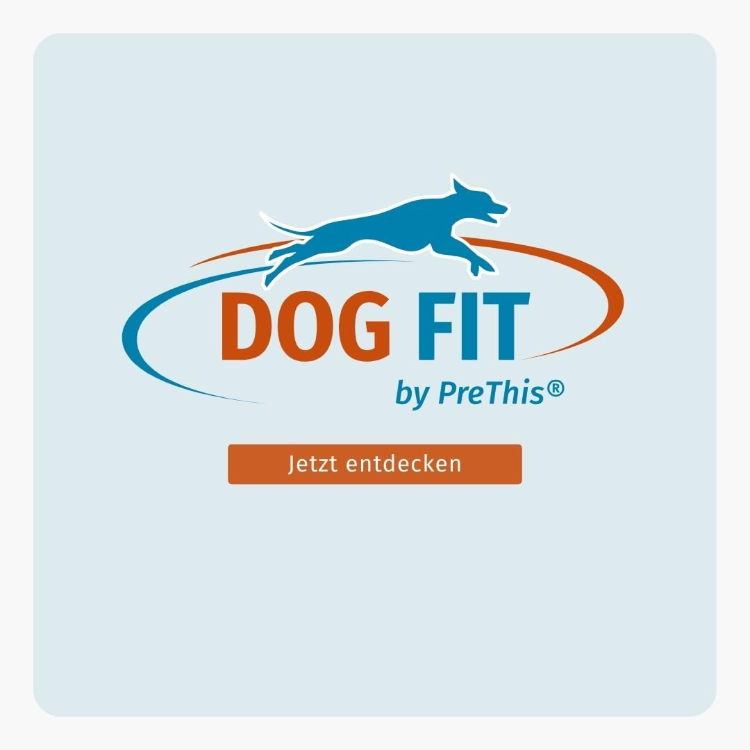DOG FIT by PreThis® Care Senior I Aufbaupräparat für alte Hunde Plus Gelenkschutz &amp; Vitamine &amp; Miner